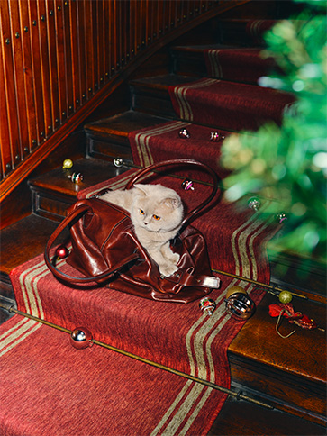 Borse Natale Maxandco Banner Box Desktop (4) MAX&Co.